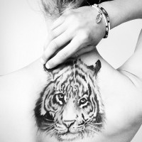 /album/inspiration1/insp8-jpg/